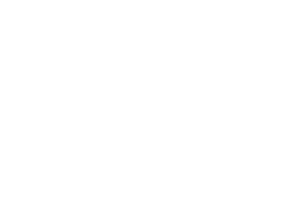 Solar Spirit zonnepanelen logo